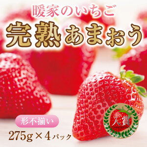 yӂ邳Ɣ[ŁzgƂ̂ n܂ 4pbN(`s) A4 [a6407] Љ@lʋ gƂ̋u zsFkCEEyԗizYc ӂ邳Ɣ[