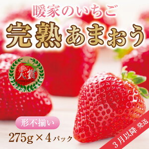 yӂ邳Ɣ[ŁzgƂ̂ n܂ 4pbN(`s) B4 [a6408] Љ@lʋ gƂ̋u zsFkCEEyԗizYc ӂ邳Ɣ[