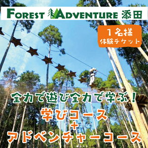 yӂ邳Ɣ[ŁzS͂ŗVёS͂ŊwԁIwXC&Ahx`[R[XZbg1ľ`Pbg [a0411]  FOREST DEN yԗizYc ӂ邳Ɣ[