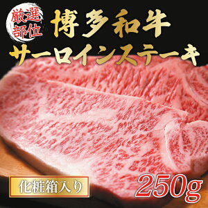 yӂ邳Ɣ[ŁzaT[CXe[L 250g(250g×1) [a9431] Meat Plus zsFyԗizYc ӂ邳Ɣ[