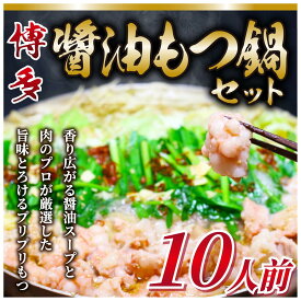 【ふるさと納税】訳あり！博多醤油もつ鍋 10人前セット [a9435] 株式会社Meat Plus ※配送不可：離島【返礼品】添田町 ふるさと納税