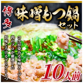 【ふるさと納税】訳あり！博多味噌もつ鍋 10人前セット [a9437] 株式会社Meat Plus ※配送不可：離島【返礼品】添田町 ふるさと納税