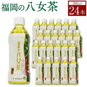yӂ邳Ɣ[Łz  ybg{g 500ml×24{ 1 1P[X   Β t { 񂿂 Y 