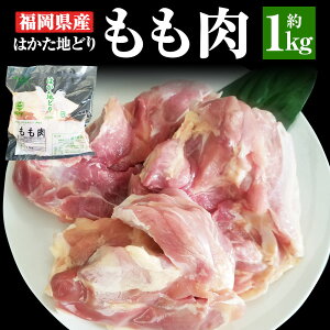 yӂ邳Ɣ[ŁzY n{ ͂nǂ  1kg { {  n{ nǂ Y  Ⓚ  yVX[p[SALE 9J