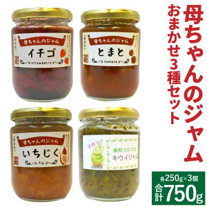 yӂ邳Ɣ[Łzꂿ̃W W 250g v750g ܂3 (e1) Zbg   LEC g}g W r 