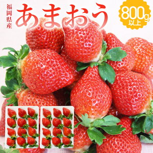 �y�ӂ邳�Ɣ[�Łz�������Y ���܂��� 2�p�b�N ���v��800g�ȏ� ������ � �t���[�c �ʕ� ��B�Y ���c���Y �������� �y2026�N1����{-3�����{�����z