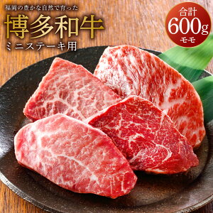 yӂ邳Ɣ[Łz̖LȎRň a ~jXe[Lp 600g ( 300g × 2pbN )  BY Y јa a  Xe[L Y Ⓚ  yVX[p[SALE 9