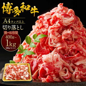 yӂ邳Ɣ[ŁzIׂeʁa A4Nȏ ؂藎Ƃ 400g 1kgi500g×2pbNj    a Ԑg  o Ⓚ pbN B Y  c  y
