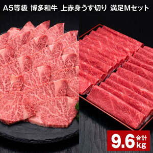 yӂ邳Ɣ[ŁzA5 a Ԑg؂ MZbg v9.6kg Ԑg؂ 500g×12pbN qēp 600g×6pbN ؂ ēp q tB 󂠂   a Zbg lߍ