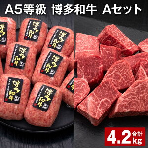yӂ邳Ɣ[ŁzA5 a AZbg v4.2kg a100%ґ{i育˃no[O y󂠂zaqTCRXe[L   a Ⓚ Y Y B  c 