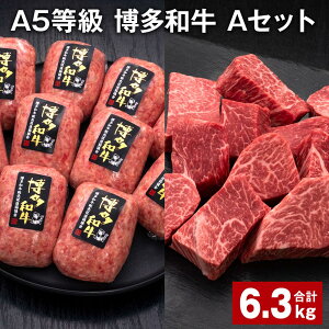 yӂ邳Ɣ[ŁzA5 a AZbg v6.3kg a100%ґ{i育˃no[O y󂠂zaqTCRXe[L   a Ⓚ Y Y B  c 