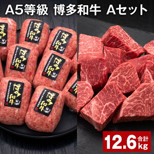 yӂ邳Ɣ[ŁzA5 a AZbg v12.6kg a100%ґ{i育˃no[O y󂠂zaqTCRXe[L   a Ⓚ Y Y B  c 