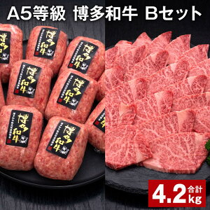 yӂ邳Ɣ[ŁzA5 a BZbg v4.2kg a100%ґ{i育˃no[O y󂠂zaqē   a Ⓚ Y Y B  c 