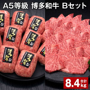yӂ邳Ɣ[ŁzA5 a BZbg v8.4kg a100%ґ{i育˃no[O y󂠂zaqē   a Ⓚ Y Y B  c 