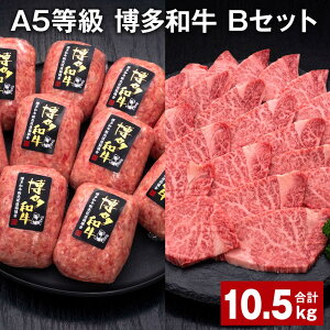 yӂ邳Ɣ[ŁzA5 a BZbg v10.5kg a100%ґ{i育˃no[O y󂠂zaqē   a Ⓚ Y Y B  c  yV