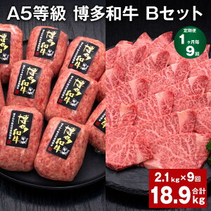 yӂ邳Ɣ[Łzyցzy19zA5 a BZbg v18.9kgi2.1kg×9j a100%ґ{i育˃no[O y󂠂zaqē   a Ⓚ Y 