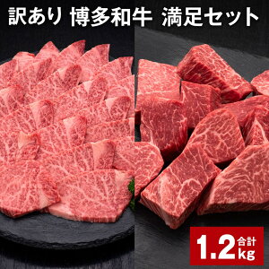 yӂ邳Ɣ[Łzy󂠂za Zbg v1.2kg aqTCRXe[Li600g×1pbNj aqēi600g×1pbNj   a q Ⓚ Y Y B 