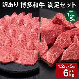 【ふるさと納税】【定期便】【1ヶ月毎5回】【訳あり】博多和牛 満足セット 計6kg（1.2kg×5回） 博多和牛ヒレサイコロステーキ 博多和牛ヒレ焼肉 牛肉 お肉 和牛 ヒレ肉 冷凍 福岡県産 国産 九州 福岡県 糸田町 送料無料