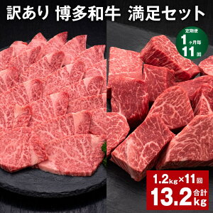yӂ邳Ɣ[Łzyցzy111zy󂠂za Zbg v13.2kgi1.2kg×11j aqTCRXe[L aqē   a q Ⓚ Y 