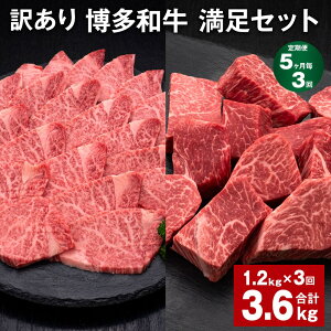 yӂ邳Ɣ[Łzyցzy53zy󂠂za Zbg v3.6kgi1.2kg×3j aqTCRXe[L aqē   a q Ⓚ Y Y 