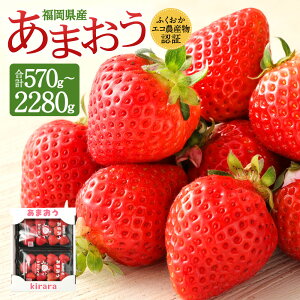 yӂ邳Ɣ[ŁzyIׂeʁz ܂ v570g`2280g 1pbN285g 2`8pbN t@[ yӂGR_YF؁z ʕ t[c ʎ ① Y  c 