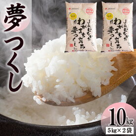 【ふるさと納税】 福岡産 果物屋 さん が 厳選 選んだ 米 お米 精米「 夢つくし 」 10kg 送料無料 福岡 川崎 川崎町 3X23