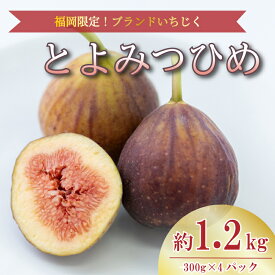 【ふるさと納税】【先行予約】【2026年8月上旬から10月中旬発送】 選べる種類 福岡県産 とよみつひめ 約1.2kg 300g×4パック 冷蔵 小分け いちじく福岡県産 イチジク 無花果 1kg以上 フルーツ 果物 スイーツ 高級 くだもの 旬 数量限定 期間限定 福岡県 川崎町