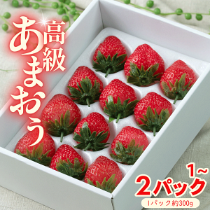 yӂ邳Ɣ[Łzy2025N12{~2026N3z Y܂Mtg 1~2 ①  Y  ܂  C`S t[c ܂ ʕ XC[c   t { ʌ