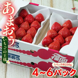 【ふるさと納税】【2026年2月上旬から3月末発送】 選べる種類 福岡県産 春あまおう 4パック~6パック 冷蔵 小分け いちご 福岡県産 苺 あまおう 苺 1kg以上 イチゴ フルーツ あまおう 果物 スイーツ 高級 くだもの 春 旬 数量限定 期間限定 福岡県 川崎町