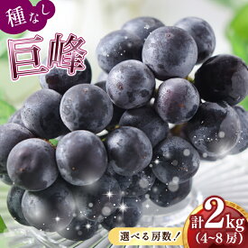 【ふるさと納税】 2026年先行予約 訳あり 種なし巨峰2kg 種無し 巨峰 （ 川崎町産 ）ブドウ ぶどう 果物 フルーツ デザート スイーツ 果樹園 国産 新鮮くだもの フルーツ 葡萄 朝採れ 産地直送 ご家庭 贈答 人気 ギフト 先行予約 旬 数量限定 お中元 お盆 福岡県 川崎町