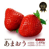 【ふるさと納税】 【2026年1-3月発送】 福岡県産 あまおう 約560...