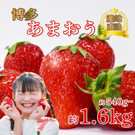 【ふるさと納税】 【1-2月より発送予定】 あまおう約270g×2-6パック グランデ いちご 苺 冷蔵 イチゴ フルーツ 果物 くだもの 春 旬 小分け 福岡県産 苺 あまおう 1kg以上 スイーツ 数量限定 期間限定 特産品 デザート 川崎町福岡 九州 福岡県 川崎町