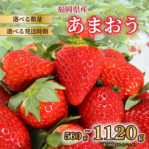 yӂ邳Ɣ[Łz y2026N1-3z Y ܂ 560g~1.2kg (280g×2~4P) ①   Y  ܂  1kgȏ ʕ XC[c ʌ Ԍ ʍ͔| Yi fU[