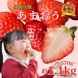 yӂ邳Ɣ[Łz y2026N1-3z ʍ͔| ܂ 570g~1.14kg (285g×2~4P) ①   Y  ܂  ʕ XC[c ʌ Ԍ ʍ͔| Yi fU[g t