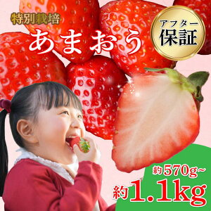 yӂ邳Ɣ[Łz y2026N1-3z ʍ͔| ܂ 570g~1.14kg (285g×2~4P) ①   Y  ܂  ʕ XC[c ʌ Ԍ ʍ͔| Yi fU[g t