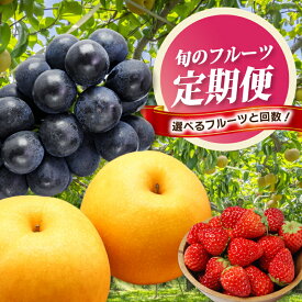 【ふるさと納税】フルーツ 定期便 2-4回 ( あまおう ぶどう 梨 ) 苺 あまおう 約560g ぶどう 1.5kg 梨 5kg 選べる回数 福岡県産 あまおう 葡萄 梨 豊水 新高 なし 果物 定期便 予約販売 予約受付 数量限定 福岡県 川崎町