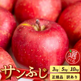 【ふるさと納税】 選べる！訳あり＆容量！ サンふじ （ 川崎町産 ）訳あり 訳アリ りんご 果物 フルーツ デザート スイーツ 果樹園 国産 新鮮くだもの フルーツ 林檎 産地直送 ご家庭 贈答 人気 ギフト 旬 数量限定 apple 福岡県 川崎町