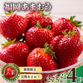 【ふるさと納税】 【26年2月発送予定】数量限定 福岡産 あまおう 約275g×2 / 4パック 先行予約 セット いちご 苺 イチゴ フルーツ 果物 くだもの 春 旬 福岡 九州 福岡県 川崎町 暖家のいちご
