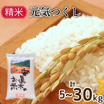 楽天市場】元気つくし 30kgの通販