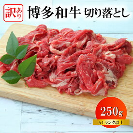 【ふるさと納税】 訳あり 国産 博多和牛 A4ランク以上 切り落とし 250g 牛 牛丼 肉 お肉 博多 和牛 黒毛和牛 肉じゃが 冷凍 訳あり ふるさと納税 牛肉 ふるさと納税 訳あり 牛肉切り落とし 福岡県 川崎町 ふるさと納税