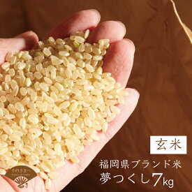 【ふるさと納税】 福岡県 認定 地域 資源 「 夢つくし 」 7kg ( 玄米 ) 送料込 T8