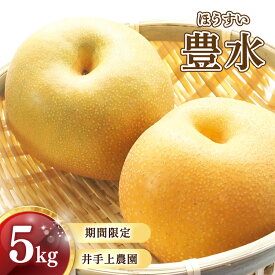 【ふるさと納税】 【2026年9月頃から発送】 梨 ( 豊水 ) 5kg 川崎町産 先行予約 梨 | 井手上農園 産地直送 梨 5kg 梨 豊水 なし フルーツ 梨 豊水 梨 豊水 梨 季節限定 梨 数量限定 梨 福岡県 川崎町