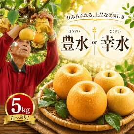 【ふるさと納税】 【2026年8月初旬～9月中旬頃に発送】 選べる 梨 豊水 幸水 5kg 川崎町産 先行予約 梨 | 井手上農園 産地直送 梨 5kg 梨 豊水 なし フルーツ 梨 豊水 梨 豊水 梨 季節限定 梨 数量限定 梨 福岡県 川崎町