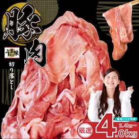 【ふるさと納税】 訳あり 豚肉 2.4kg ~ 4kg 冷凍 真空 小分け 400g ×6Por10P 大容量 国産 にく ブタ お肉 腕orモモ肉 スライス 切り落とし 便利 簡単調理 惣菜 ポーク カレー 生姜焼き 肉じゃが 豚汁 焼肉 BBQ 家族 人気 福岡県 川崎デリカ