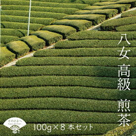 【ふるさと納税】 西村園茶舗 人気ナンバー1! 八女 高級煎茶 100g × 8本 セット 送料込