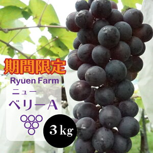 yӂ邳Ɣ[Łz y2025N8{甭zj[x[ 3kg Ԃǂ uhE ʕ VNY ʕ  t[c Ԃǂ  Yn ƒ  lC Mtg  s\ { ʌ
