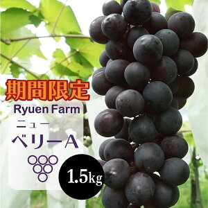 yӂ邳Ɣ[Łz y2025N8{甭zj[x[A 1.5kg ① uhE Ԃǂ  t[c 蒬 ~_ s\ { Ԃǂ ʌ Ԃǂ t[c ʕ lC  