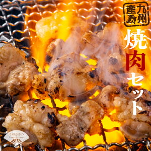 yӂ邳Ɣ[Łz Y Ă Zbg  ^  jN  BY Ă ے H zz z a Y  BBQ [H  y ӂ͂ ēZbg (  Ɛ ^