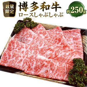 yӂ邳Ɣ[Łzyʌ蔎az[X Ԃ 250g јa a u[X T[C   ~ Ⓚ Y Y B  C 