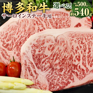 yӂ邳Ɣ[ŁzIׂeʁãT[CXe[Lp v500gi250g×2jEv540gi270g×2j a   Ⓚ Y Y B  C  yVX[